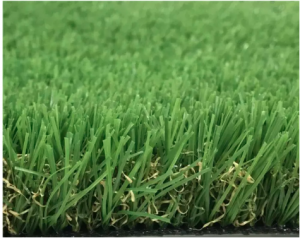 Green-Lawn-Grass