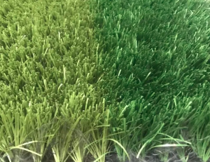 Ragbyový povrchový trávník 1