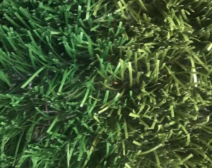 דשא משטח רוגבי