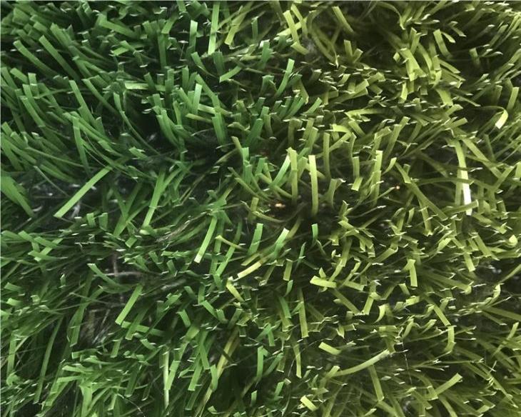 Rugby Surface Turf