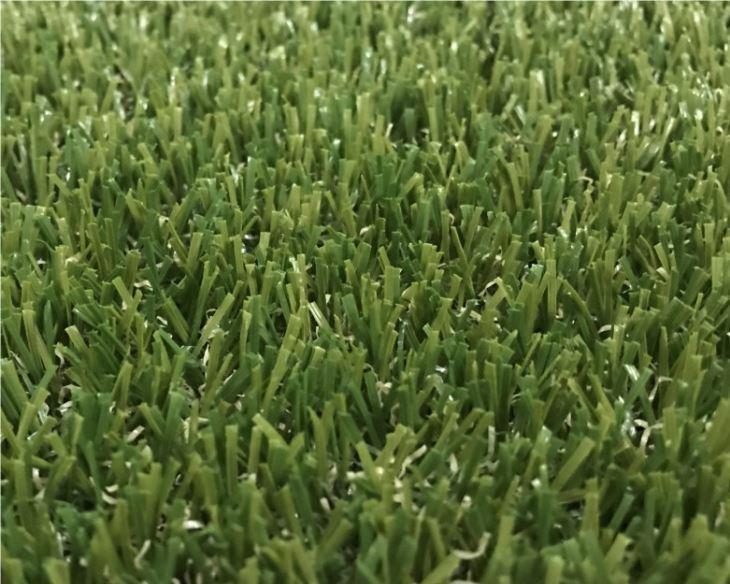Golf Green Grass