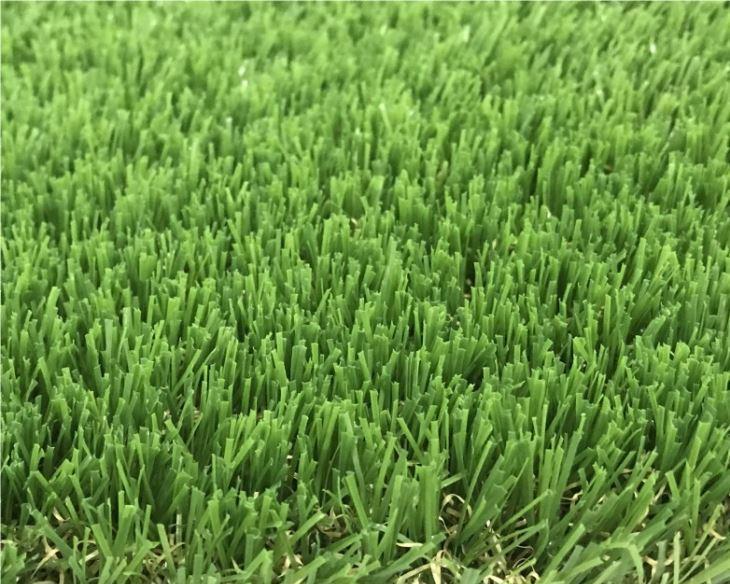Green Lawn Grass2