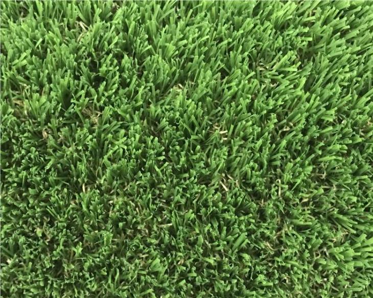 Green Lawn Grass3