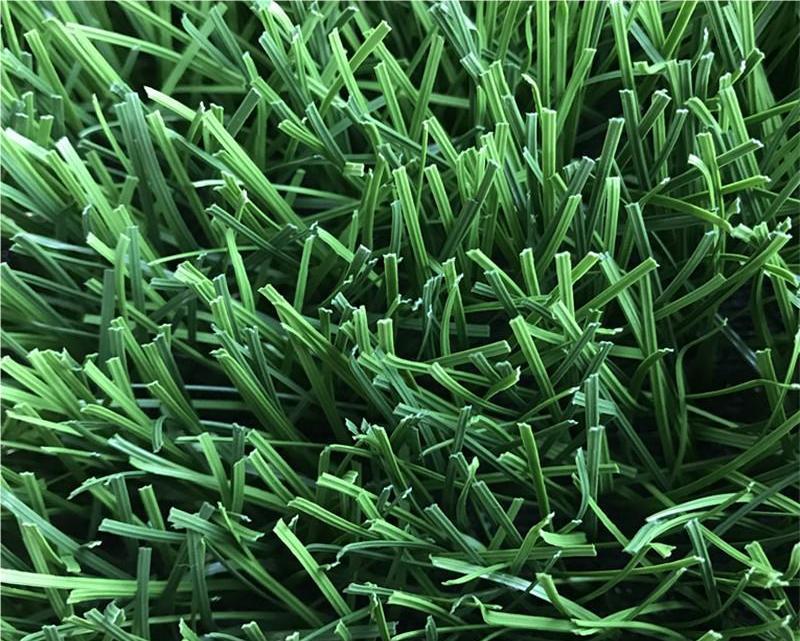 Soccer Field Grass