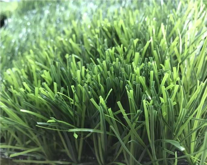 football grass2